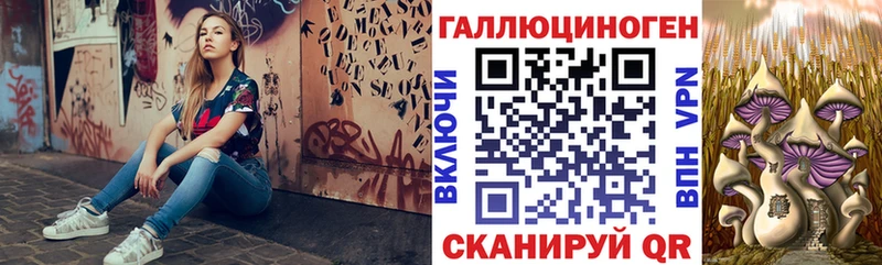 Галлюциногенные грибы Cubensis  Шарья 